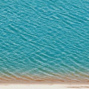 Meet your Posher, Carson