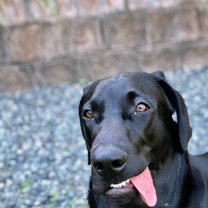 Meet your Posher, Colin