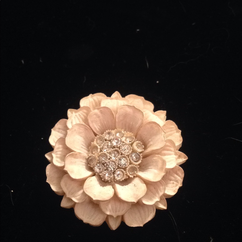 🎉 brand new listing🎉 brooch