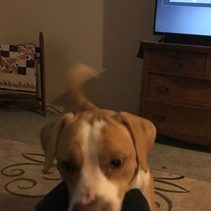 Meet your Posher, Aimee