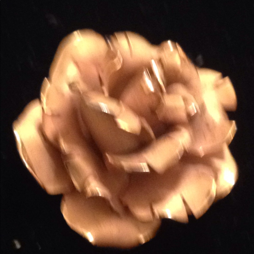 🎉 brand new listing🎉 brooch