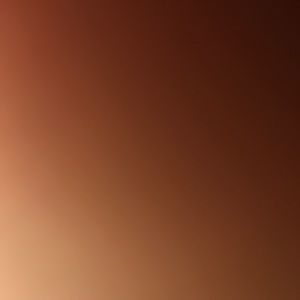 Meet your Posher, Dennis