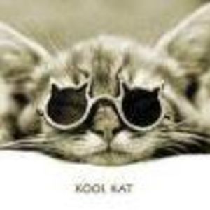 Meet your Posher, Ann