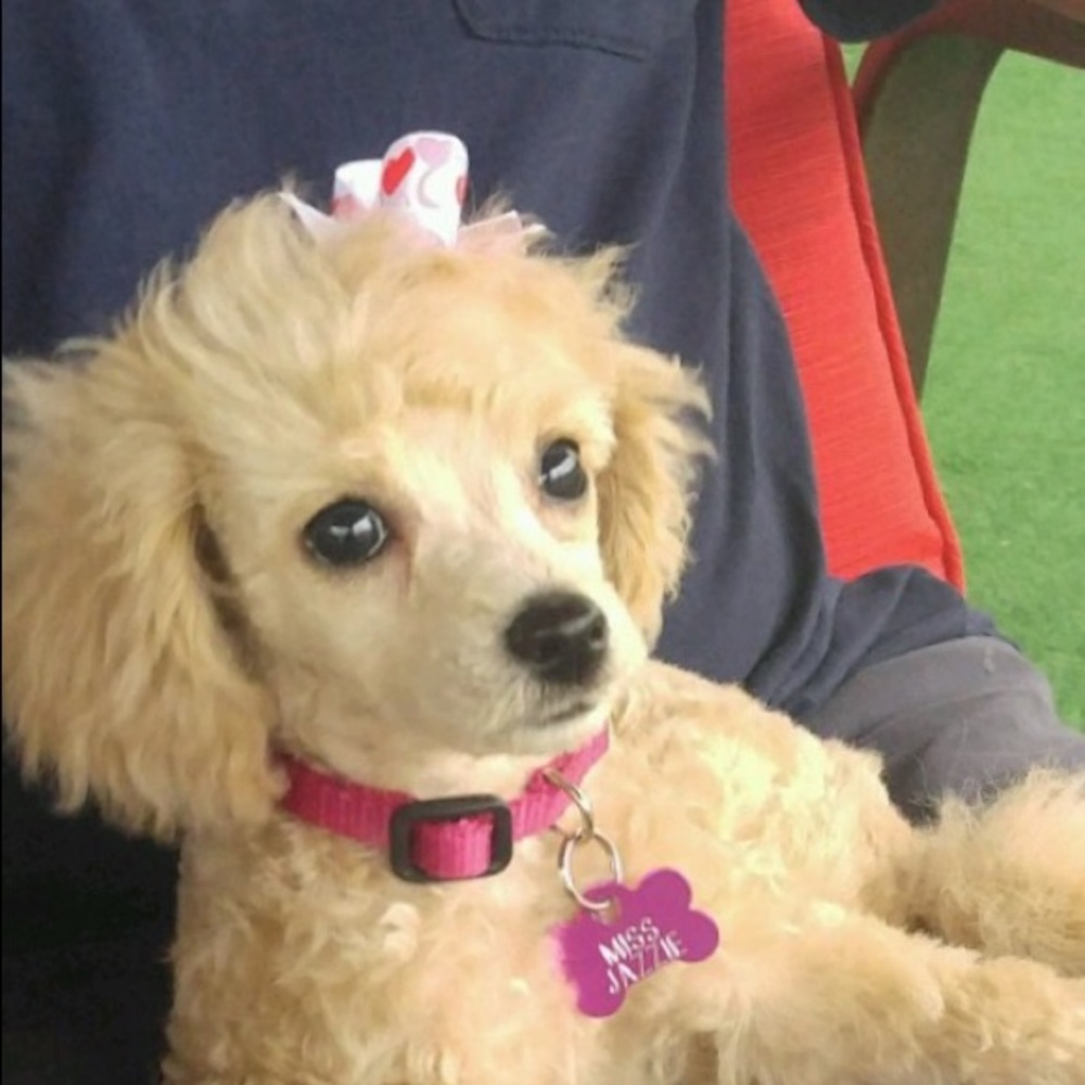 Meet your Posher, Linda