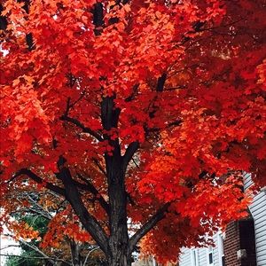 Meet your Posher, Mikey