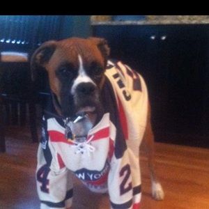 Meet your Posher, Frank