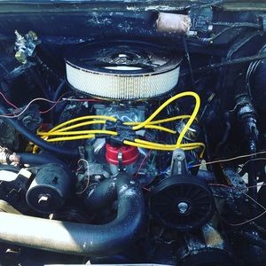 Meet your Posher, Larry