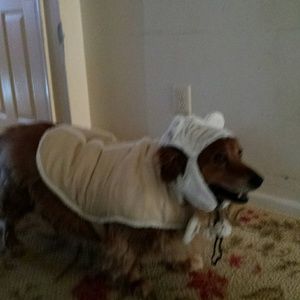 Meet your Posher, Robin