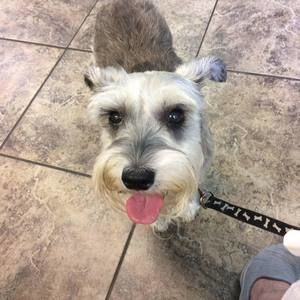 Meet your Posher, Claudia