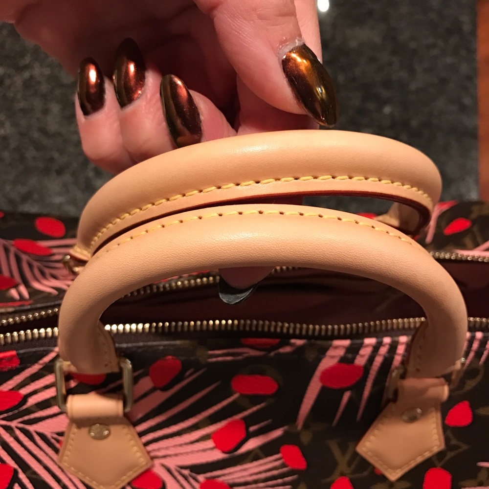 Louis Vuitton jungle speedy