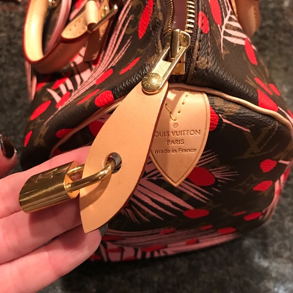 Louis Vuitton jungle speedy
