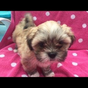 Meet your Posher, Beverly