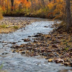 Meet your Posher, Debi