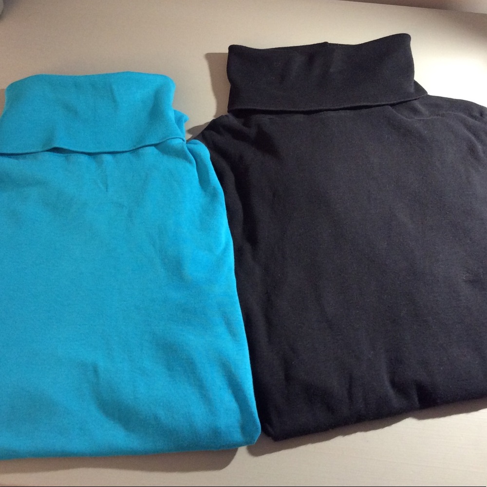 Michael Stars long sleeve turtleneck - 2 colors!