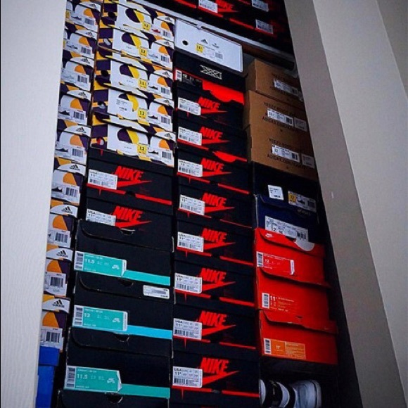 Meet your Posher, Quinn - Picture 1 of 1