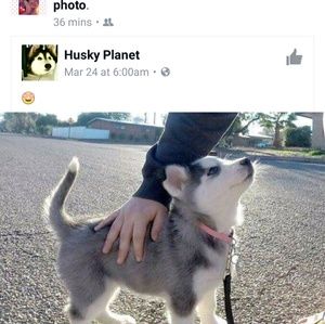 Meet your Posher, Toni