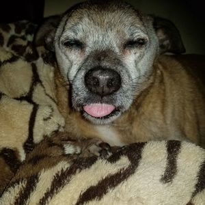 Meet your Posher, Charlie