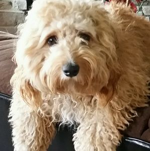 Meet your Posher, Esther