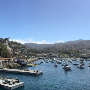 Meet your Posher, Cole