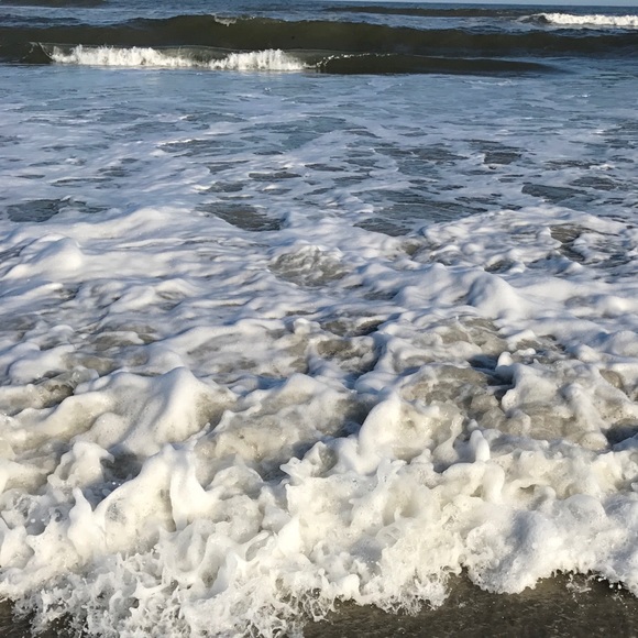 Meet your Posher, Devon - Picture 1 of 1