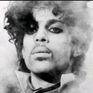 Meet your Posher, Teddy