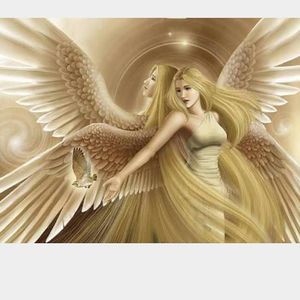 Meet your Posher, Garcia