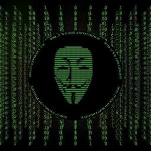 Meet your Posher, Jake