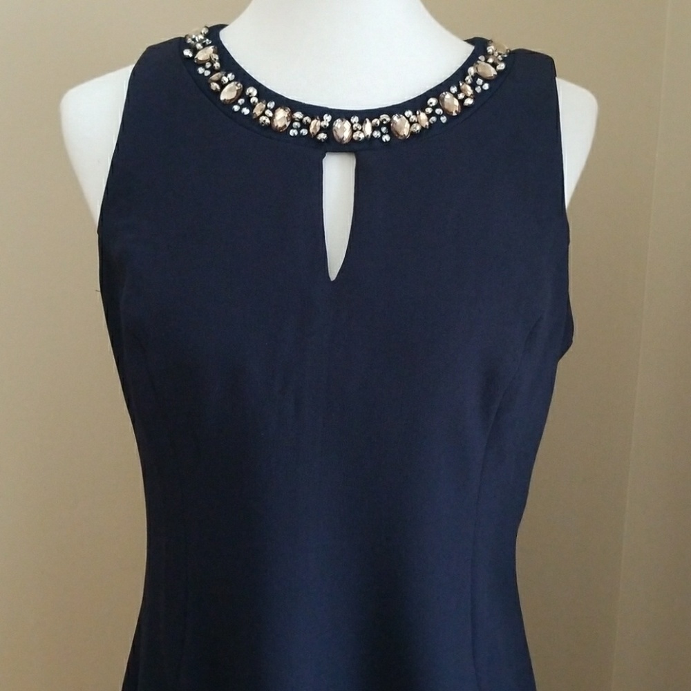 Navy Blue Embellished Collar Sheath Dress