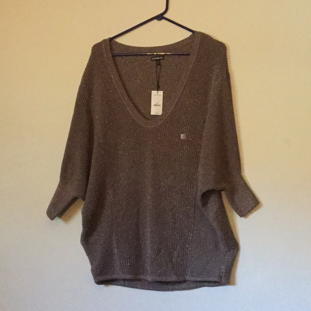 Brand New Express Sweater
