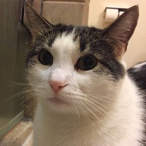 Meet your Posher, Ailleen