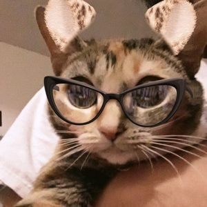 Meet your Posher, Luisa