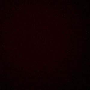 Meet your Posher, Braidon