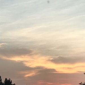 Meet your Posher, Ruthann