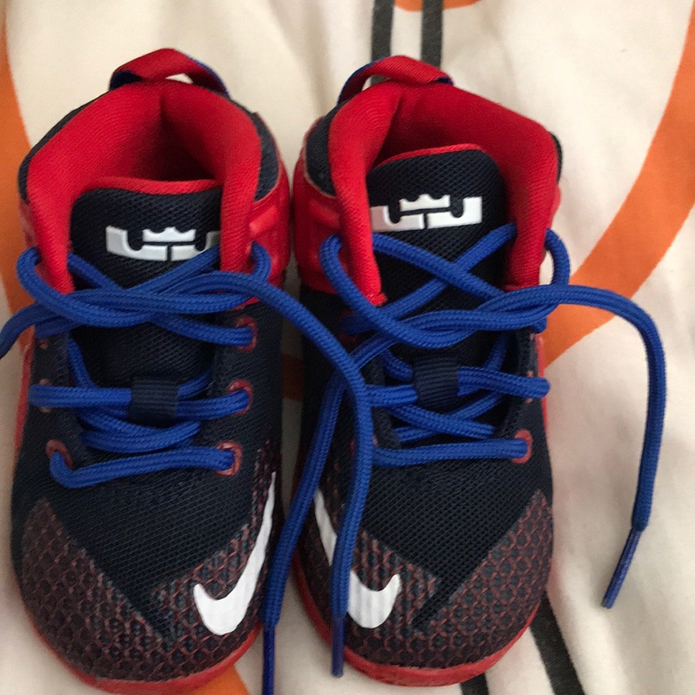 Labron Nike shoes