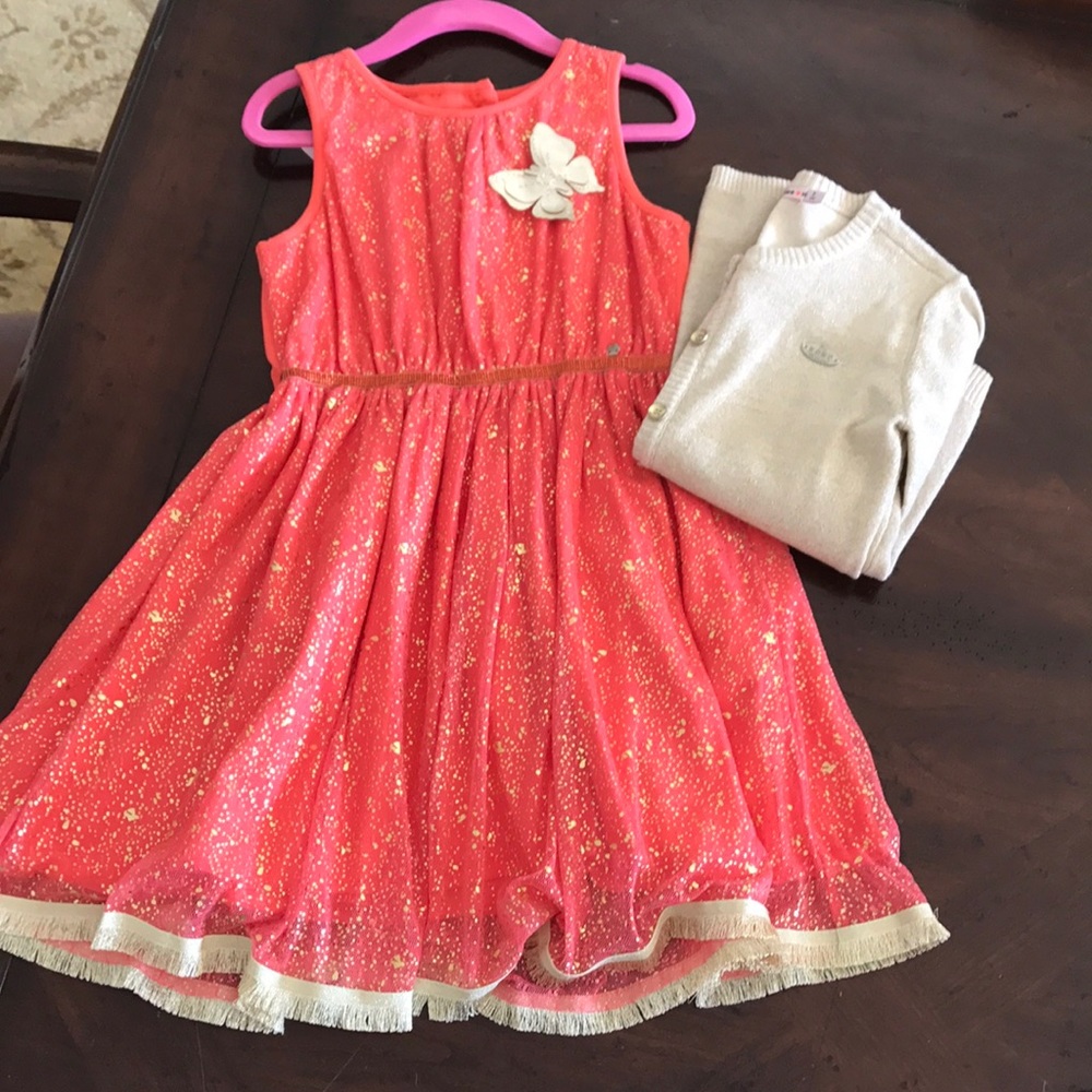 Little girls dress NWT