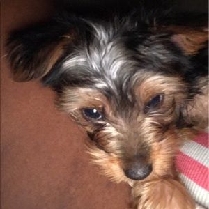 Meet your Posher, Kyuna