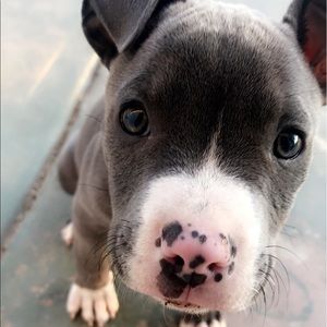 Meet your Posher, Jesse