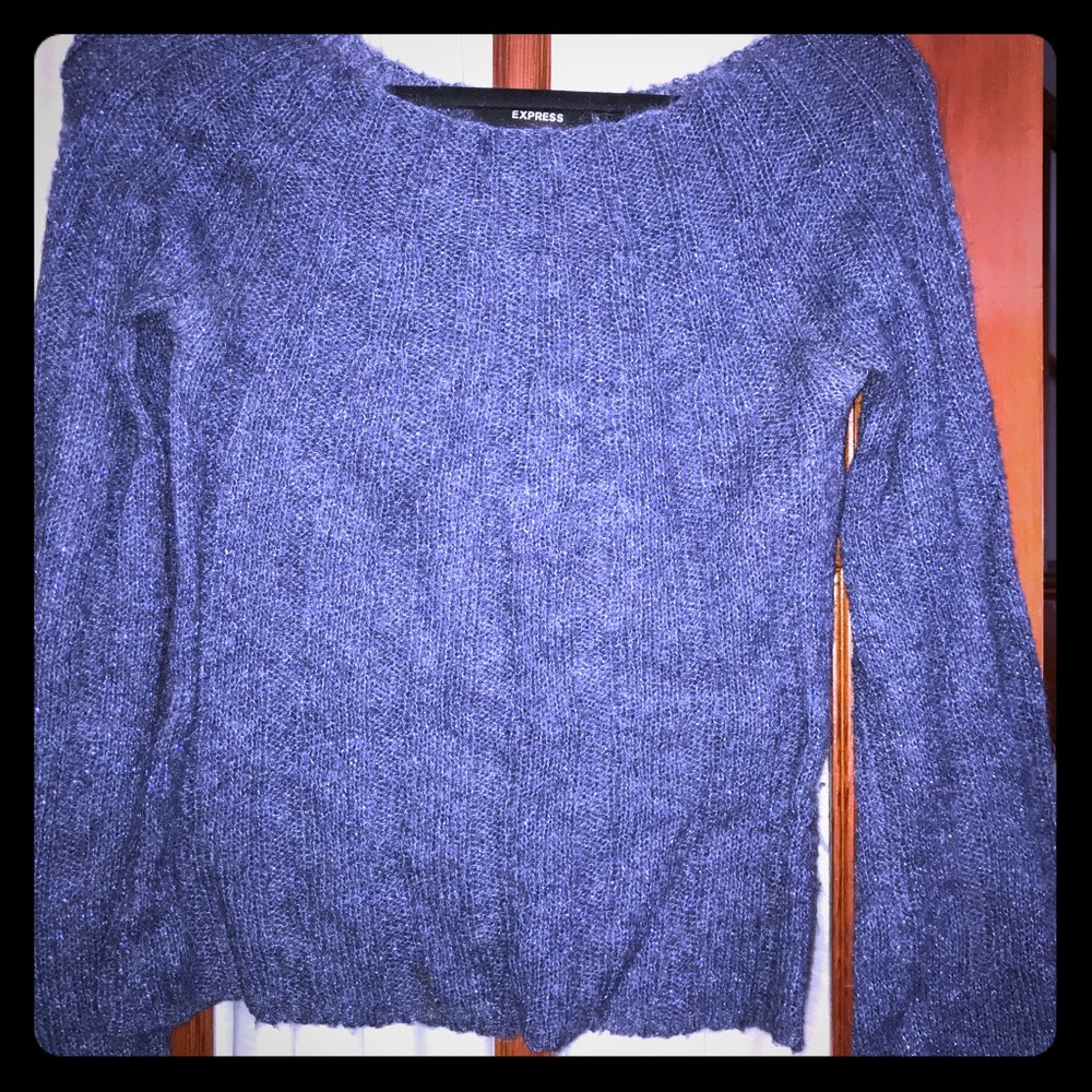 Express Sparkly sweater