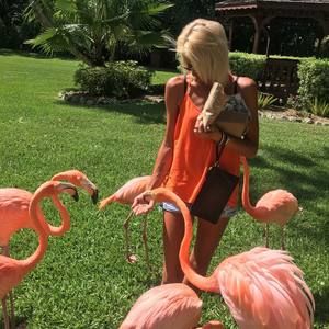 Meet your Posher, Wesley