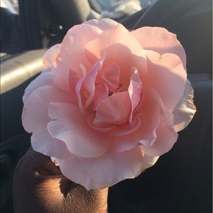 Meet your Posher, Mel