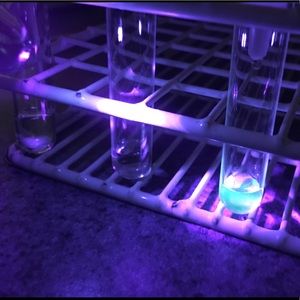 Meet your Posher, Riley