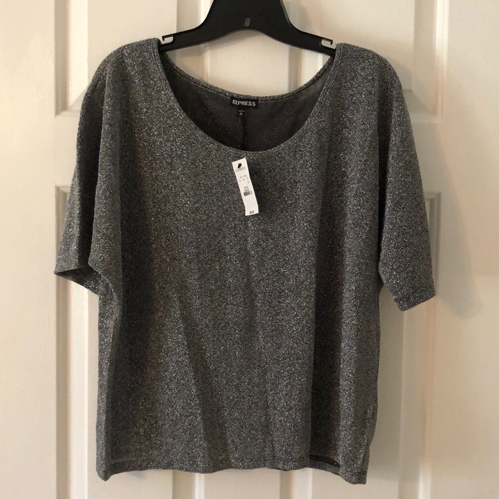 NWT Express silver sparkly crop top