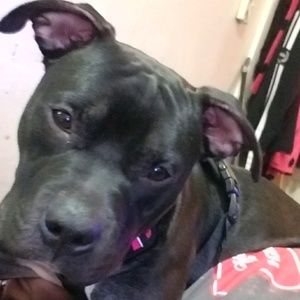 Meet your Posher, Markeyda