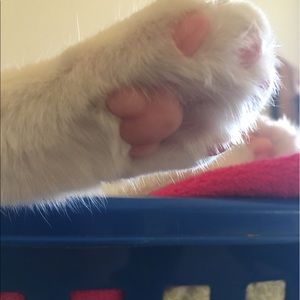 Meet your Posher, Ina