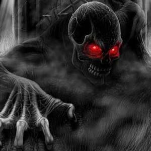 Meet your Posher, Steve