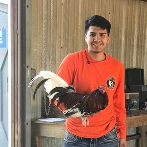 Meet your Posher, Alex