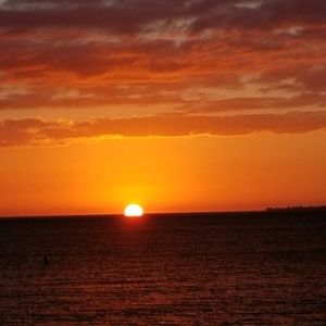 Meet your Posher, Nicholas