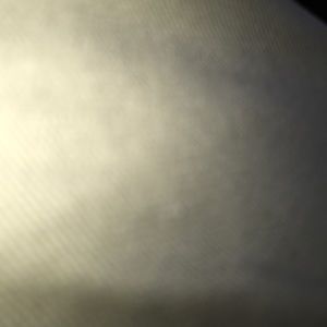 Meet your Posher, Will