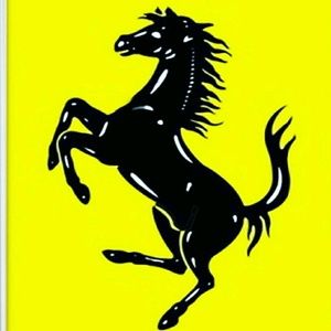 Meet your Posher, Casimiro