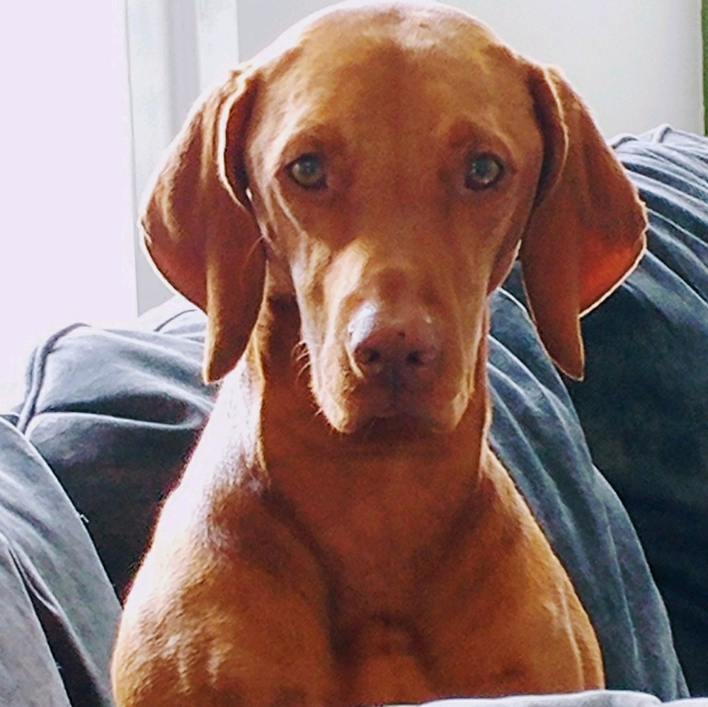 Meet your Posher, Rhonda